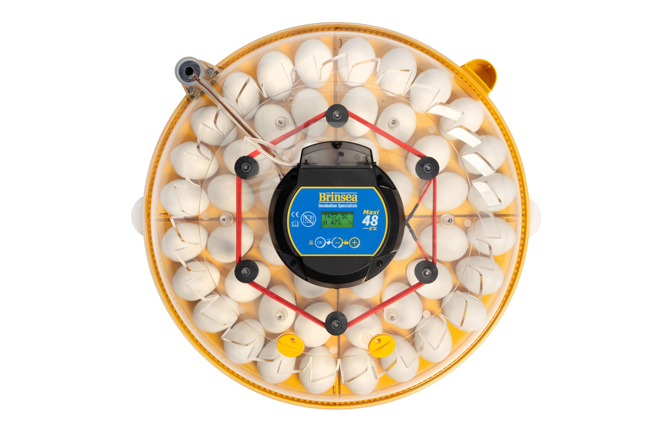 Incubadora BRINSEA Maxi 48 EX - Incubadora para 48 Huevos de gallina - Apta para Diferentes Especies o tamaños de Huevos - Fabricación Europea