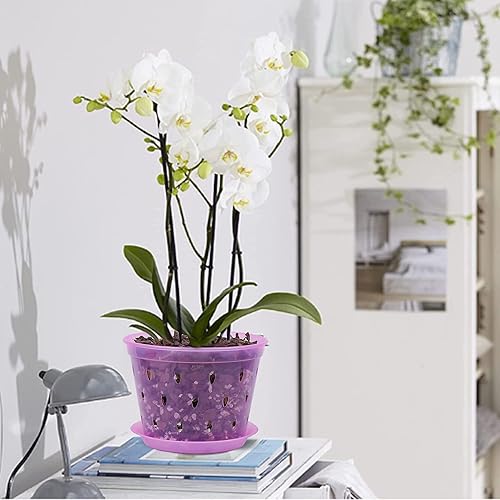 Miniatura 8 de Maceta de orquídeas, 6.7 pulgadas, paquete de 8 macetas de orquídeas con agujeros y platillos, maceta de plástico para orquídeas, cuarzo rosa