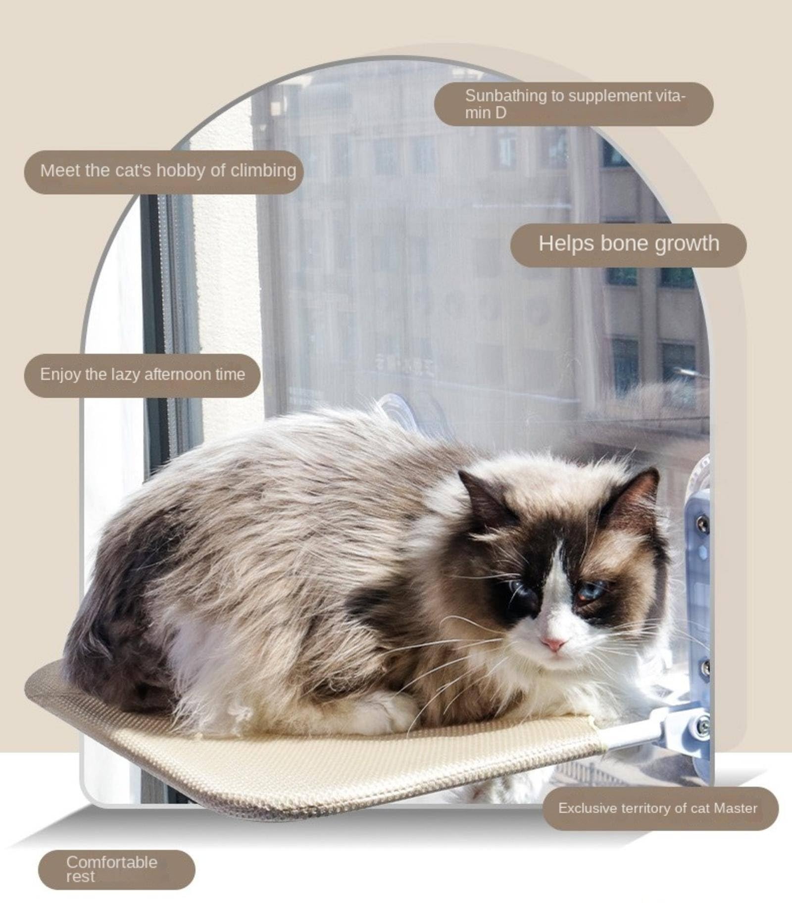 Amaca Da Finestra Per Gatti Con Ventose - Letto Morbido Per Gatti Fino A 20kg, Con Coperta E Cuscino