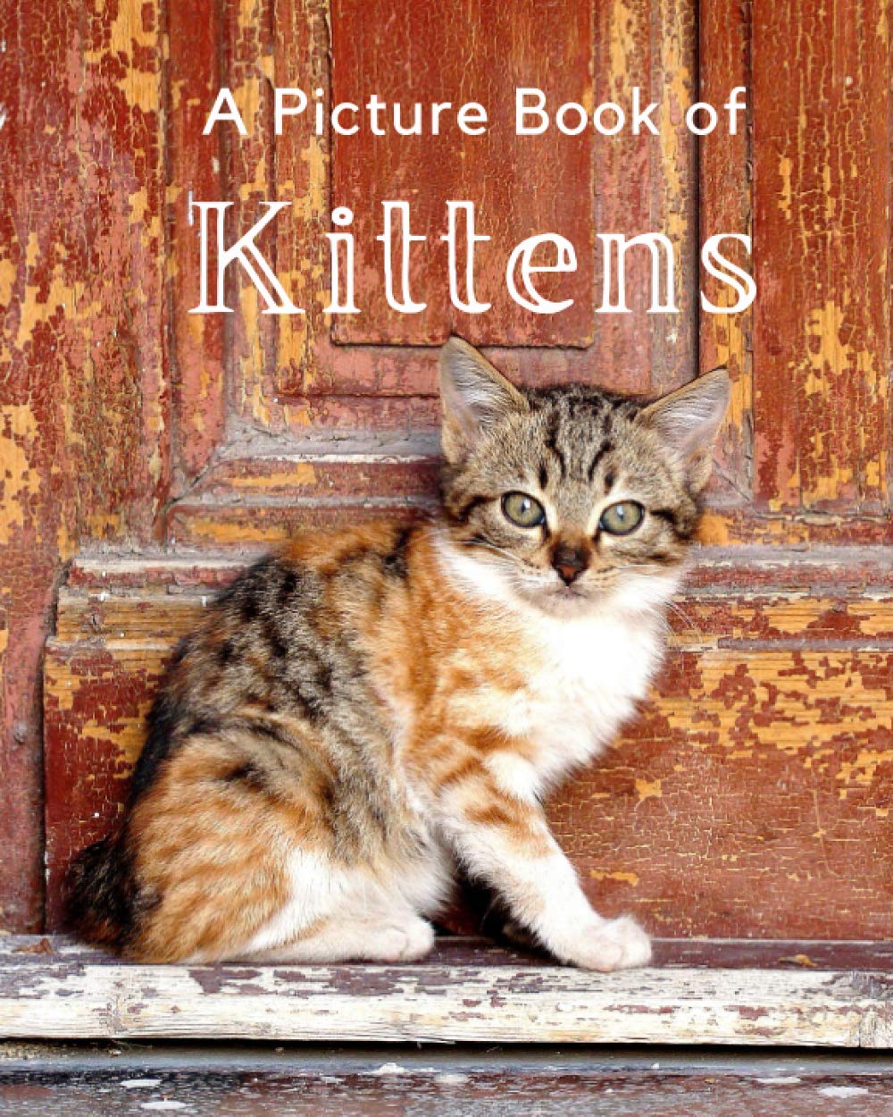 A Picture Book of Kittens: A Beautiful Picture Book for Seniors With Alzheimer’s or Dementia. A Wonderful Gift For Cat Lovers.: 7