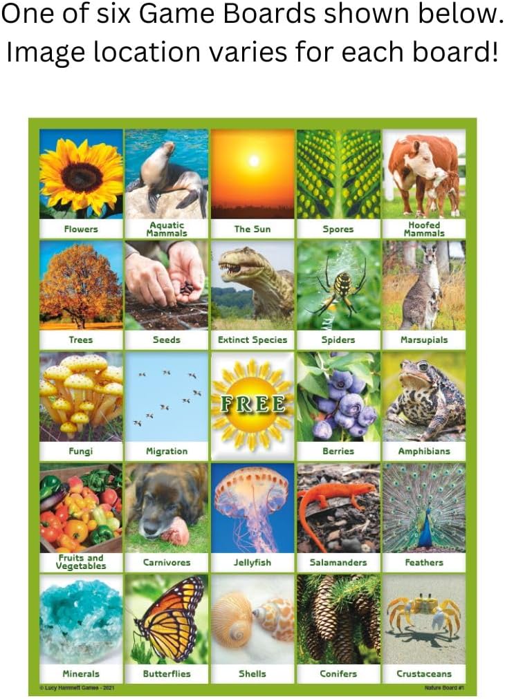 Nature Bingo Educational Game - Fun Learning for Kids & Families with Picture Boards & Cards