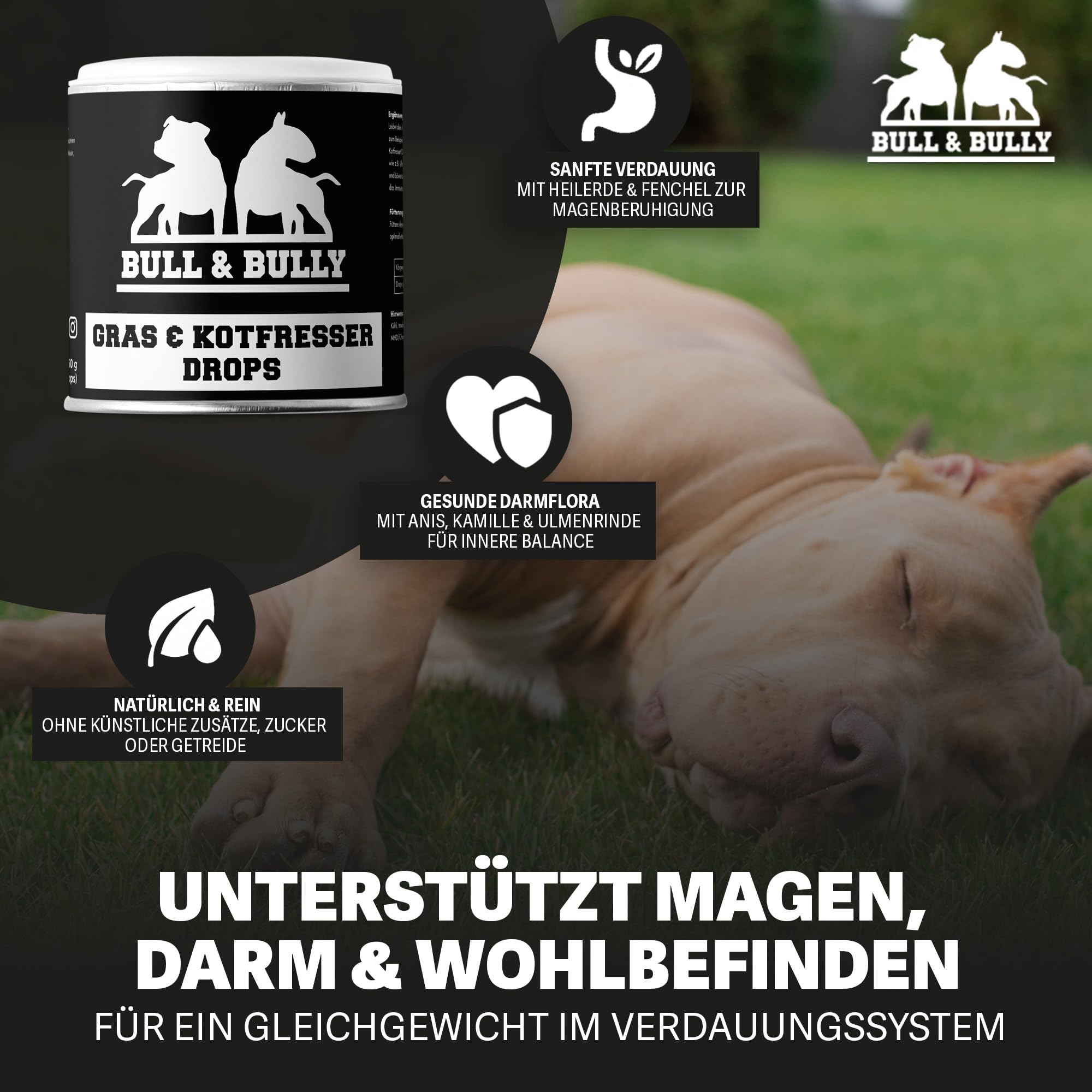 BULL & BULLY – Gras und Kotfresser Drops Hund 350 g (150 Drops) – Gesunde Hundeleckerli gegen Gras- & Kotfressen – Leckerlis Hund zur Unterstützung von Magen & Darm – Anti-Kotfresser Leckerli Hund