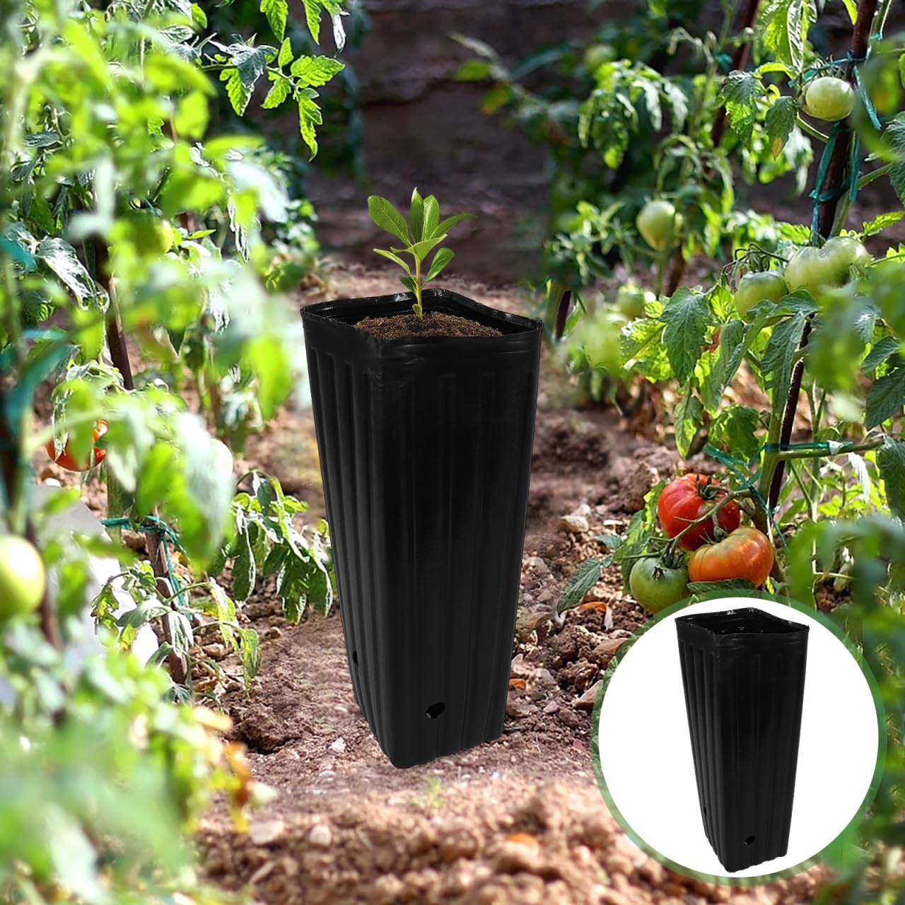 BESPORTBLE 30 bolsas para plántulas, tubos de árboles para plántulas, macetas de cultivo, paquete de variedades, macetas de iniciación, macetas de inicio, bolsas de jardín de infantes, maceteros para