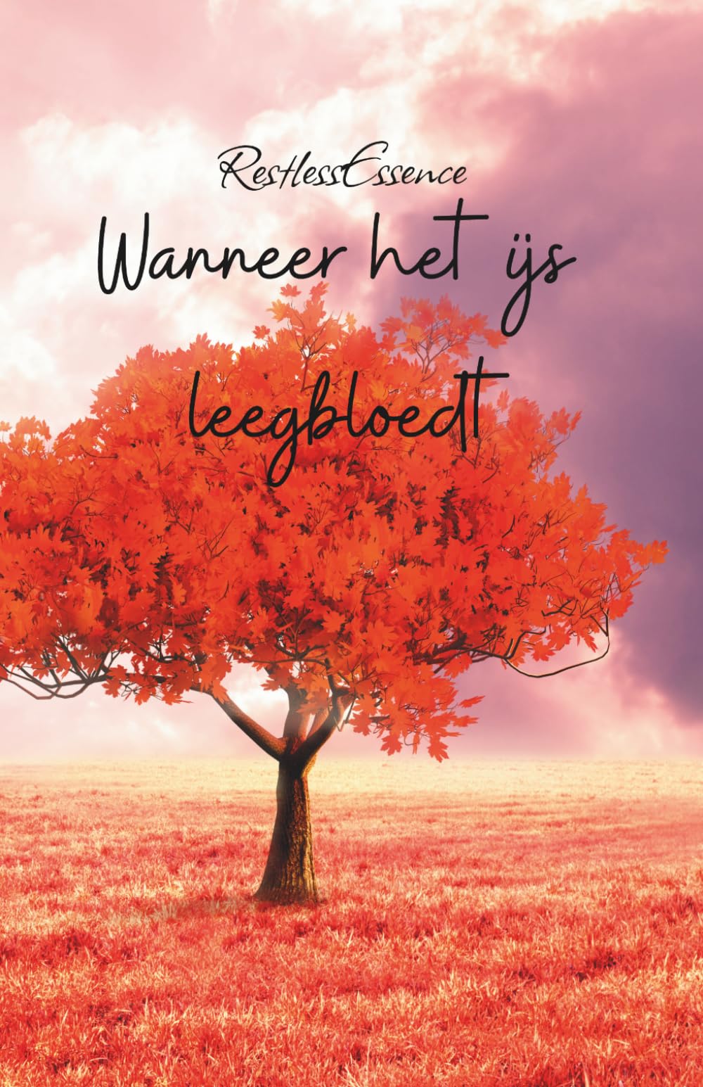 Wanneer het ijs leegbloedt: Psychologische roman Het verhaal van Anna over het terugwinnen van lichaam en ziel uit de handen van de ‘innerlijke beul’ en het vinden van emotionele vrijheid.