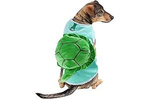 Adorable Turtle Dog Costume: Bringing the Video Game to Reality