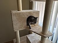 Review Image by Gavyne Gavyne