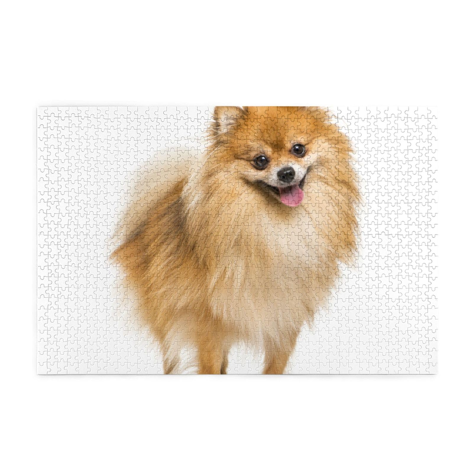 Amazon.co.jp: パズル ポメラニアン 犬柄 木製 1000ピース