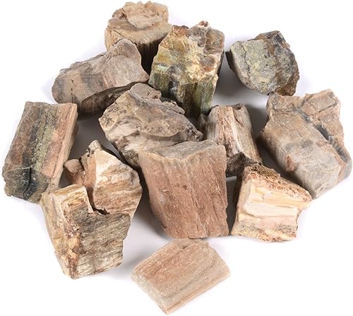 Miniatura 15 de Justinstones 1/2LB - Cristal curativo de bolsillo para colección de muestras de piedra pulida grande