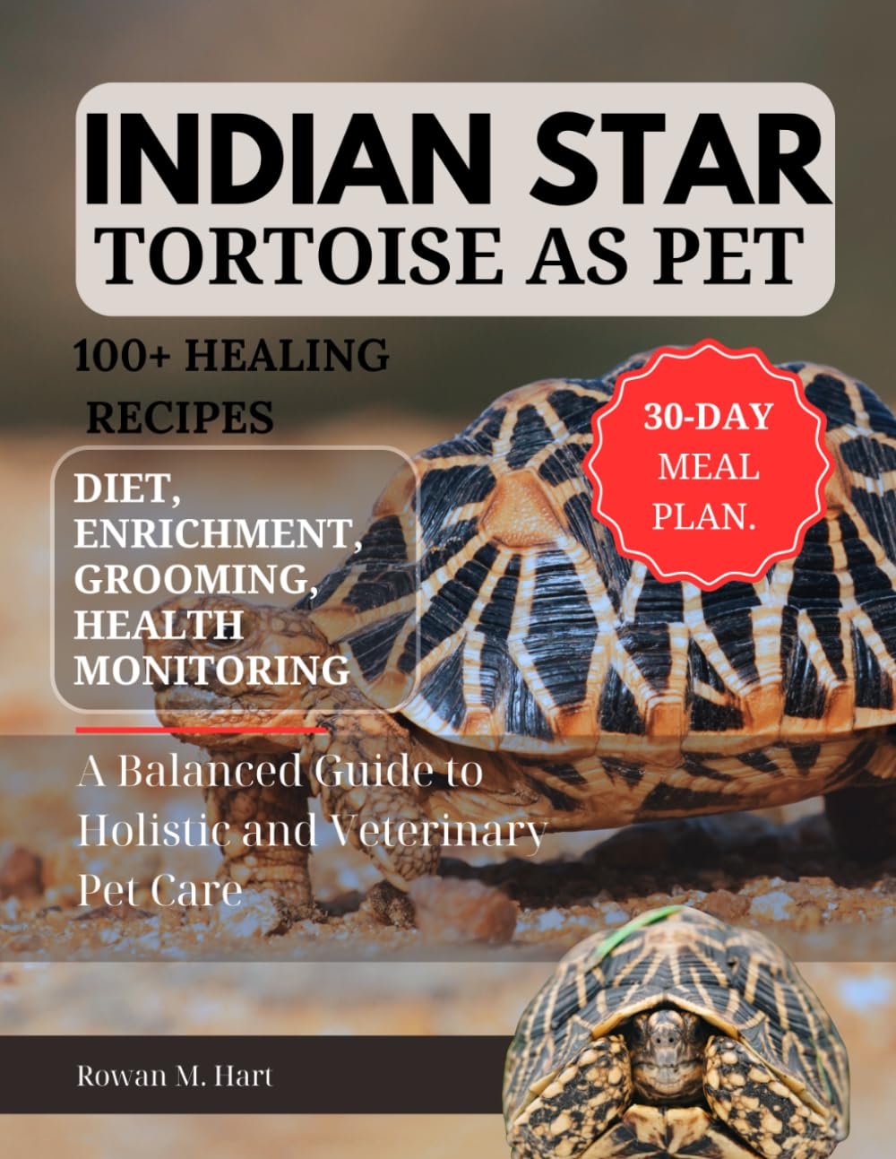 INDIAN STAR TORTOISE AS PET: A Balanced Guide to Holistic and Veterinary Pet Care
