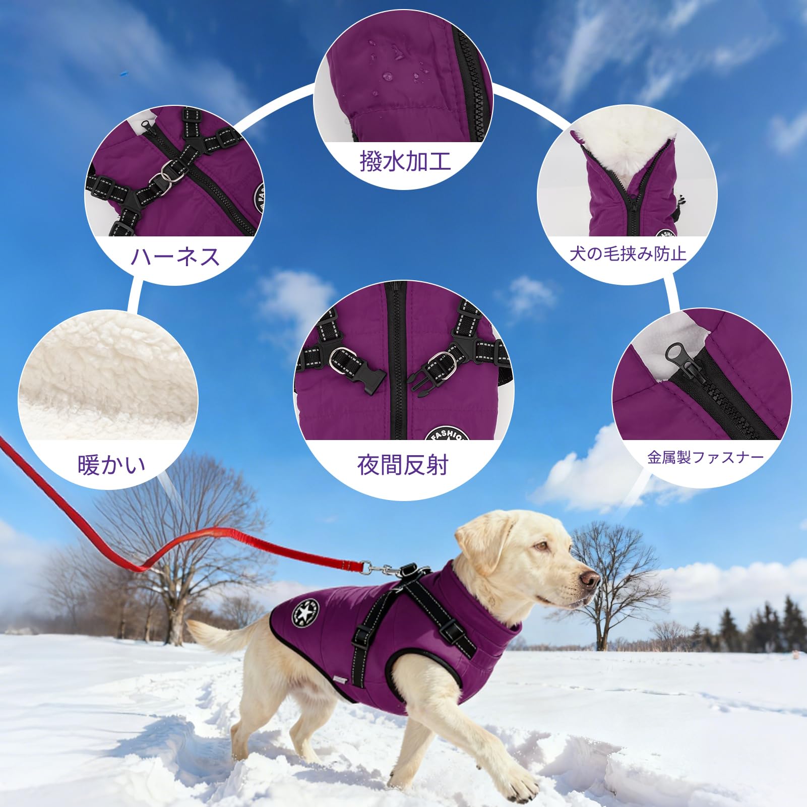 Amazon | Anzentakai 犬服 冬【2025年冬の登場】軽量 綿服コート
