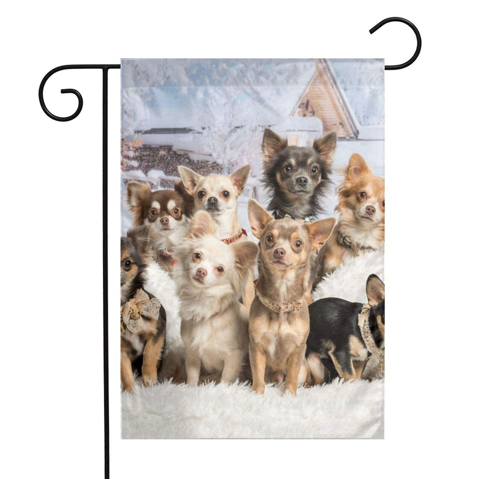 Drapeau De Jardin De Chien Mignon - France