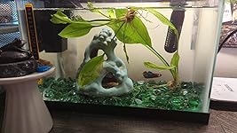 Review Image by Jeanette G. Jeanette G.