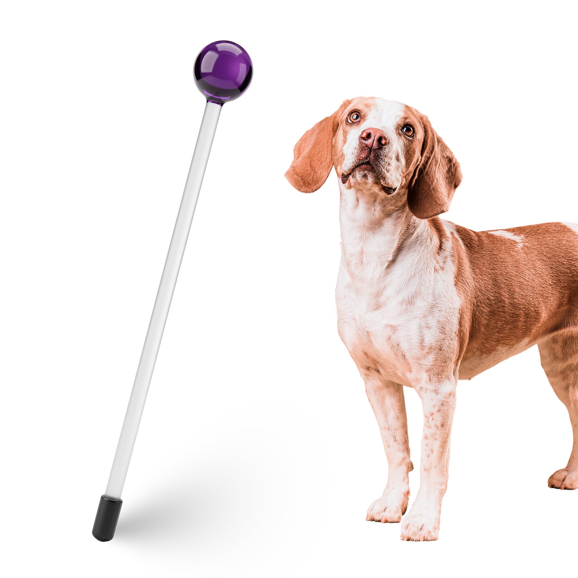 Karen Pryor Lollipop Target Stick para entrenamiento eficaz de clic, color morado y lila
