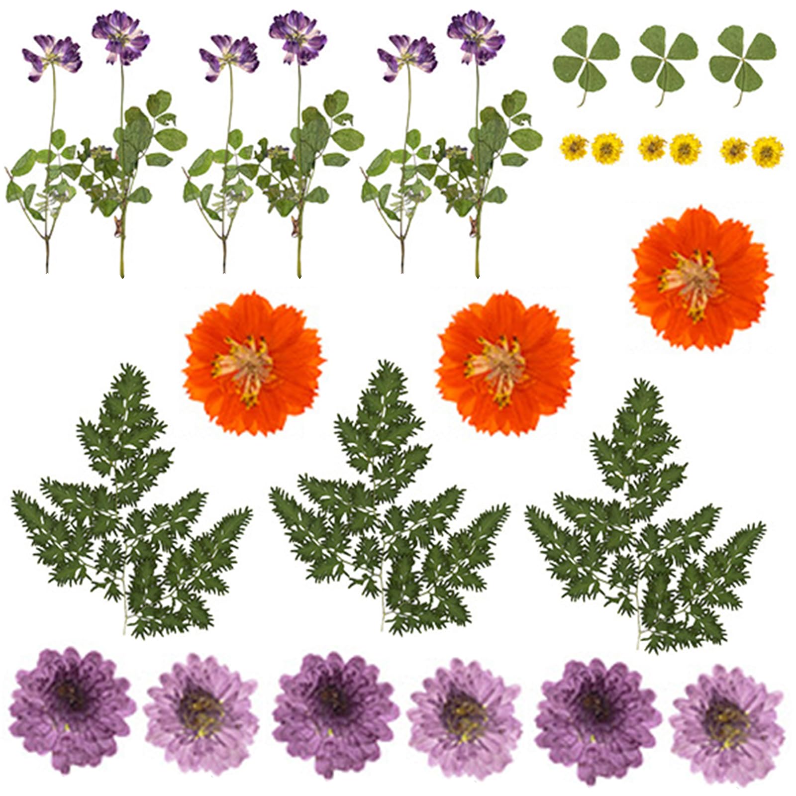 Carotoe D 18Pieces Rie Flower Art Supplies For Cards Creative An Permanent Plant Isplays Creative Flower Projects