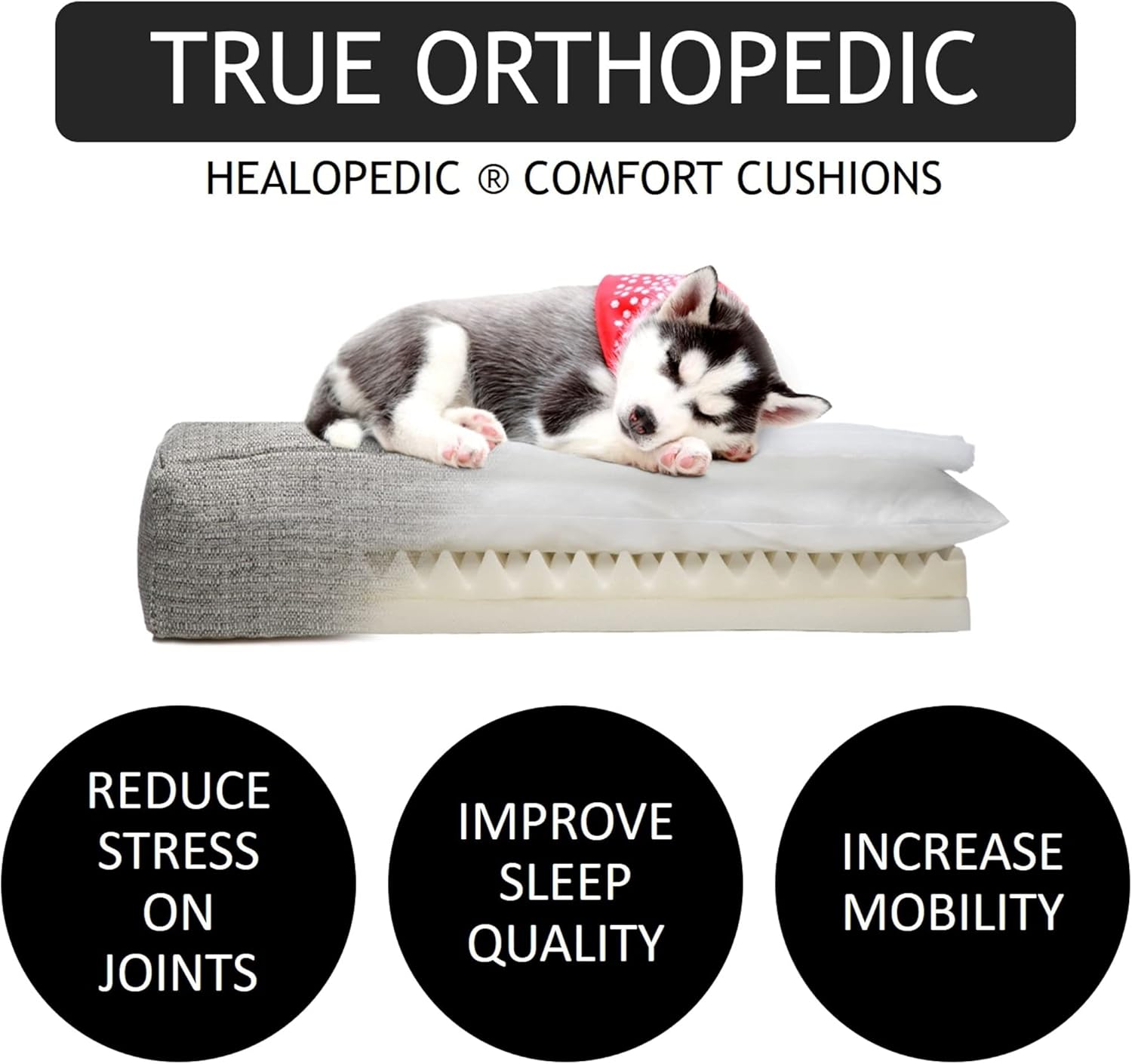 Club Nine Pets Unisex Metro Orthopedic Dog Bed - Medium Metal Gray MD One Size