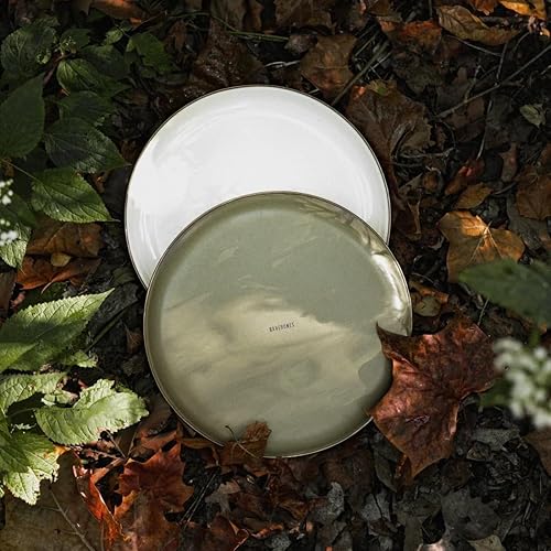 Vista 105 de Barebones Plato profundo esmaltado – Juego de 2 platos llanos – Juego de platos de acero inoxidable horneado acabado a mano – Juego de cocina