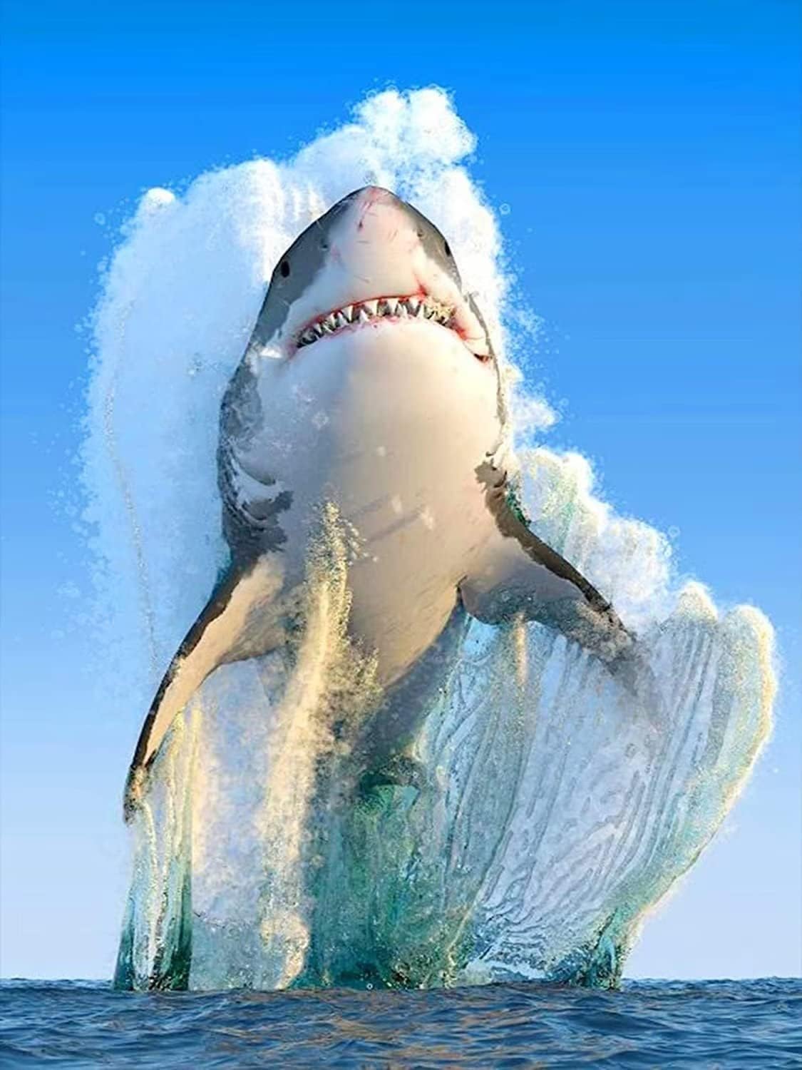 Amazon.com: Great White Shark Diamond Painting, Diamond Painting kit ...