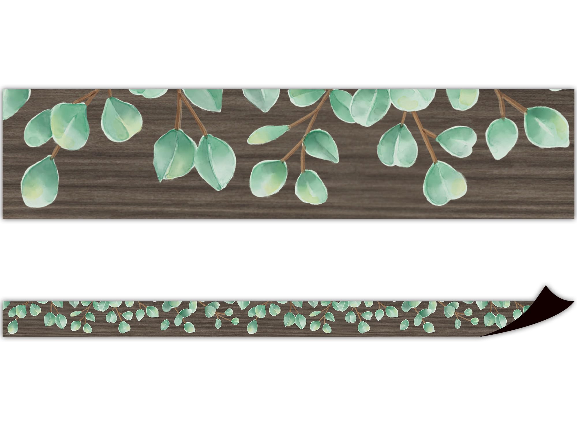 Teacher Created Resources Eucalyptus Magnetic Border (TCR77482)