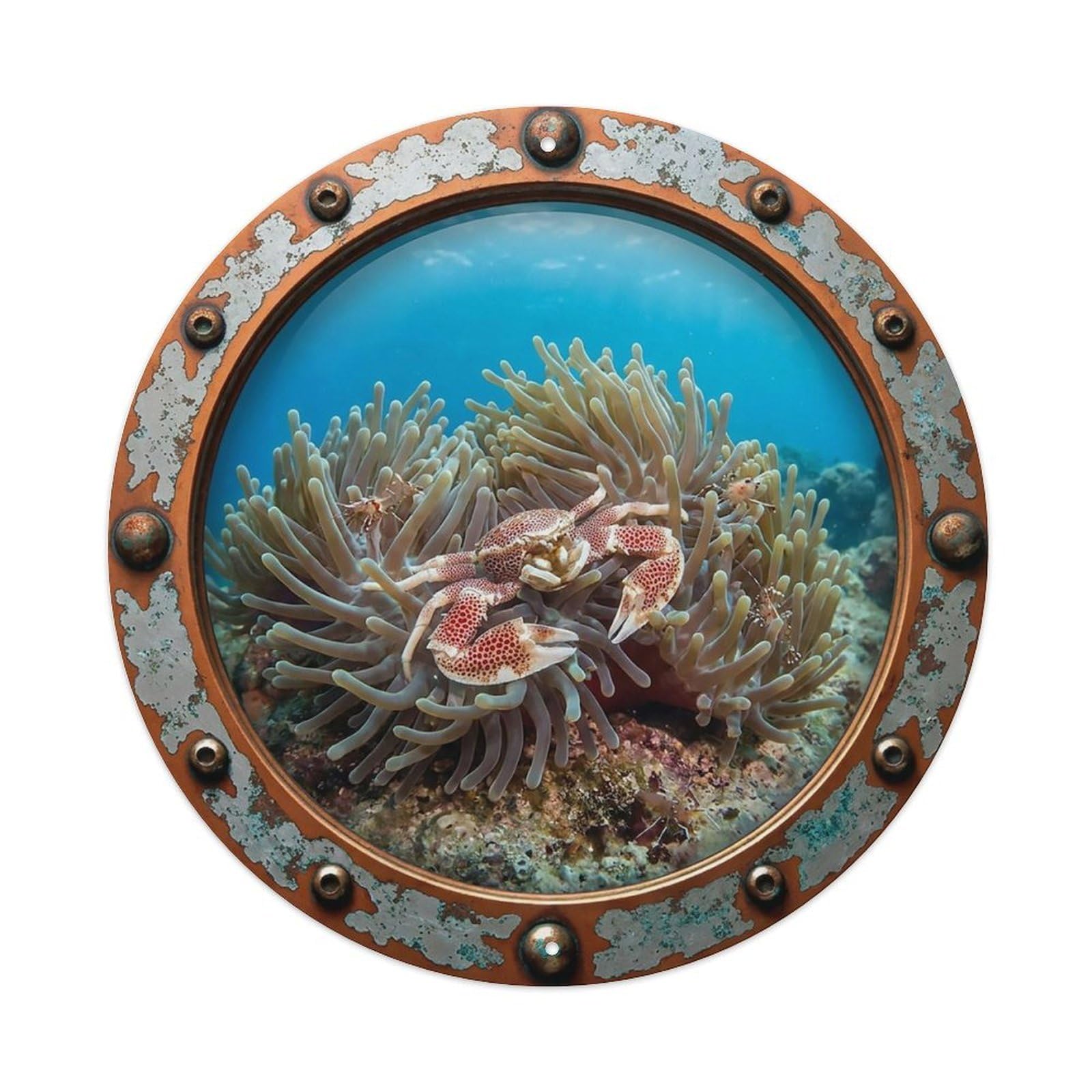 Odgynaw 8X8inch(20X20cm) Vintage Porthole Anemone Crab Nautical Window View Metal Tin Sign
