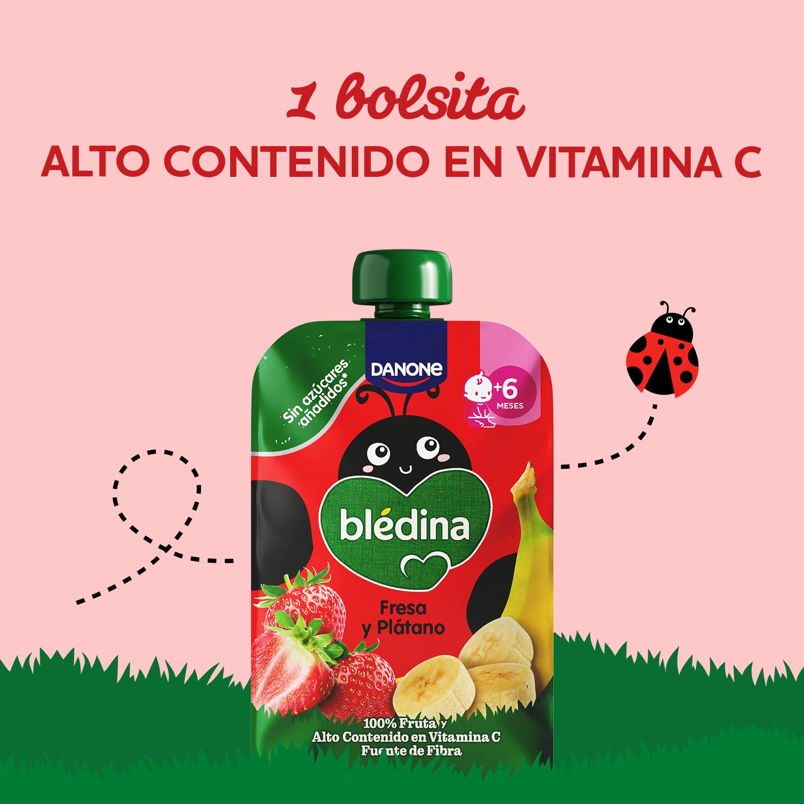 Blédina Bolsitas de Fresa y Platano para Bebé. Pouch 100% Fruta, Sin Azúcares Añadidos y Alto Contenido en Vitamina C, Fuente de Fibra. Desde los 6 Meses, Pack 6x100g