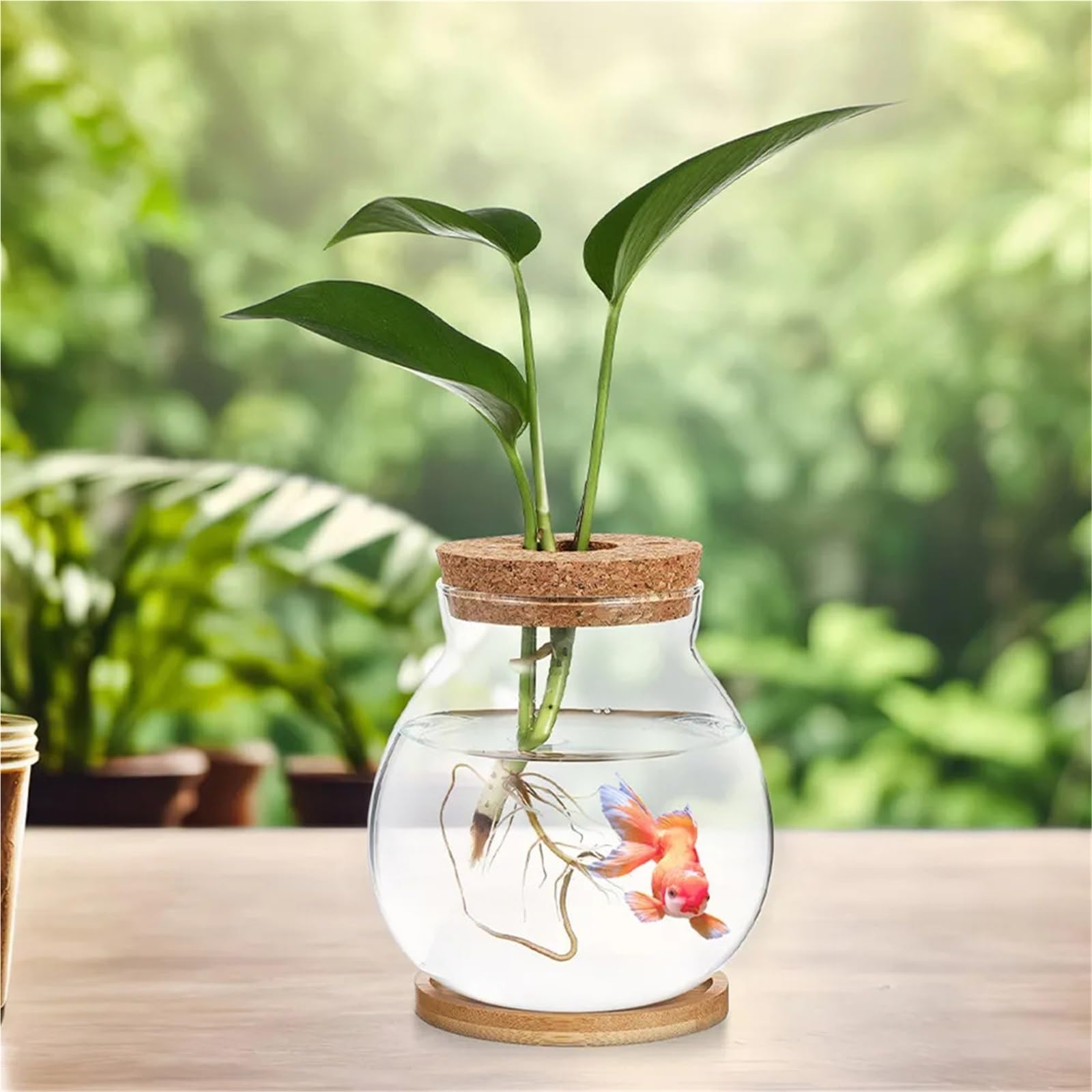Vase Hydroponique Verre Vase hydroponique en Verre Transparent, Design for Plantes d'intérieur, Station de Propagation Bureau, décor esthétique, Utilisation Polyvalente
