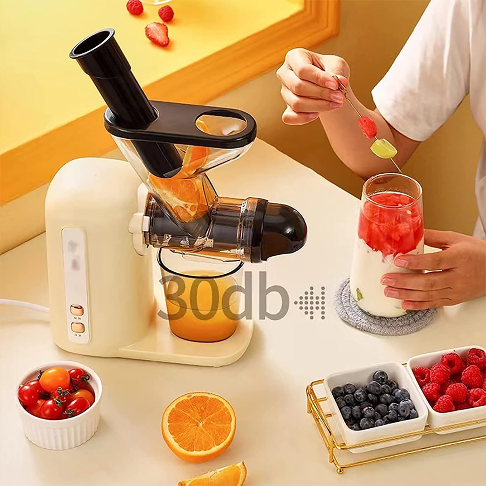 Presse-agrumes à froid 100W, extracteur de jus masticateur lent