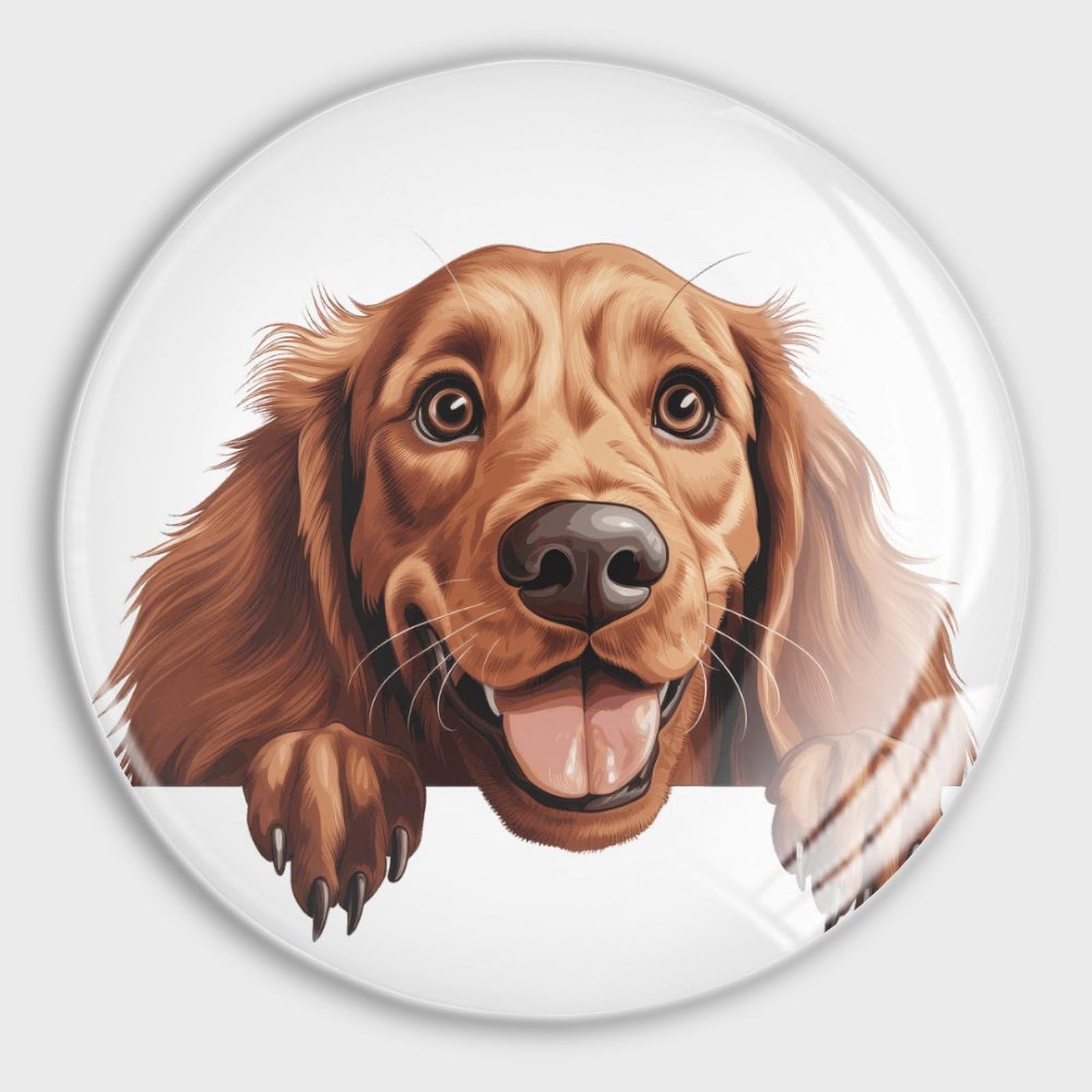 Aimants ronds en verre Setter irlandais pour réfrigérateur et tableau blanc x4