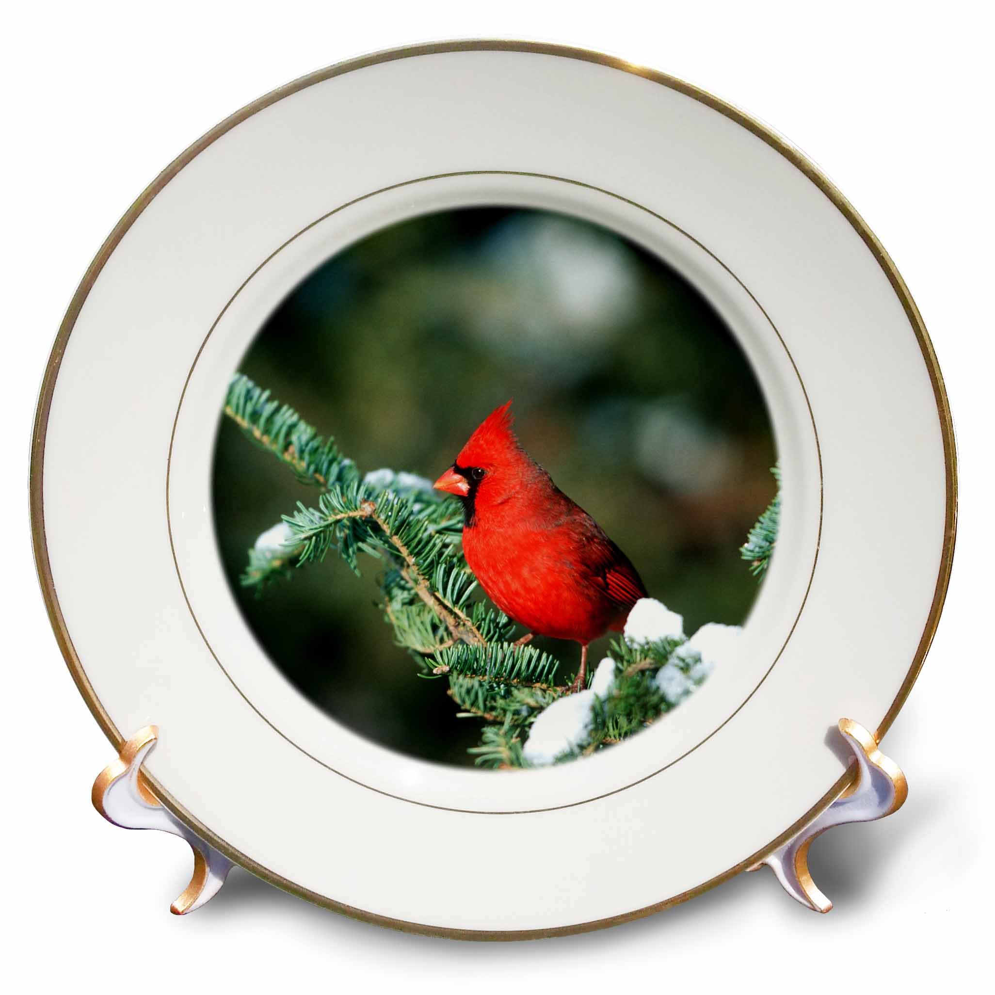 3D Rose Northern Cardinal Male in Fir Tree in Winter Marion County-Illinois Porcelain Plate, 8