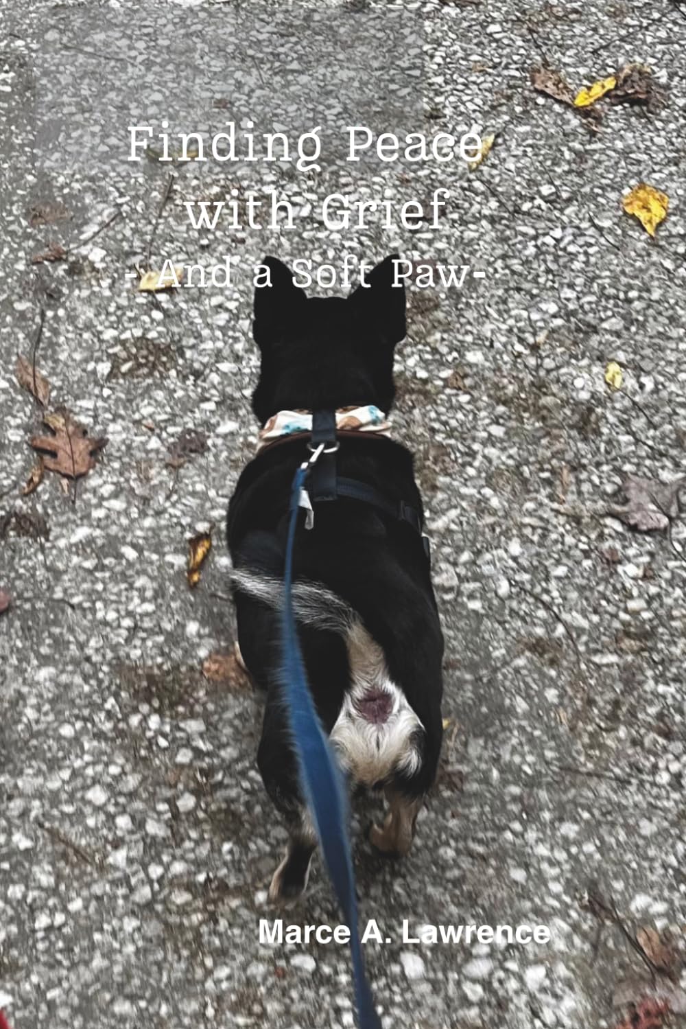 Finding Peace with Grief - And a Soft Paw: How Love, Loss and Three Dogs Brought Me Back To Life