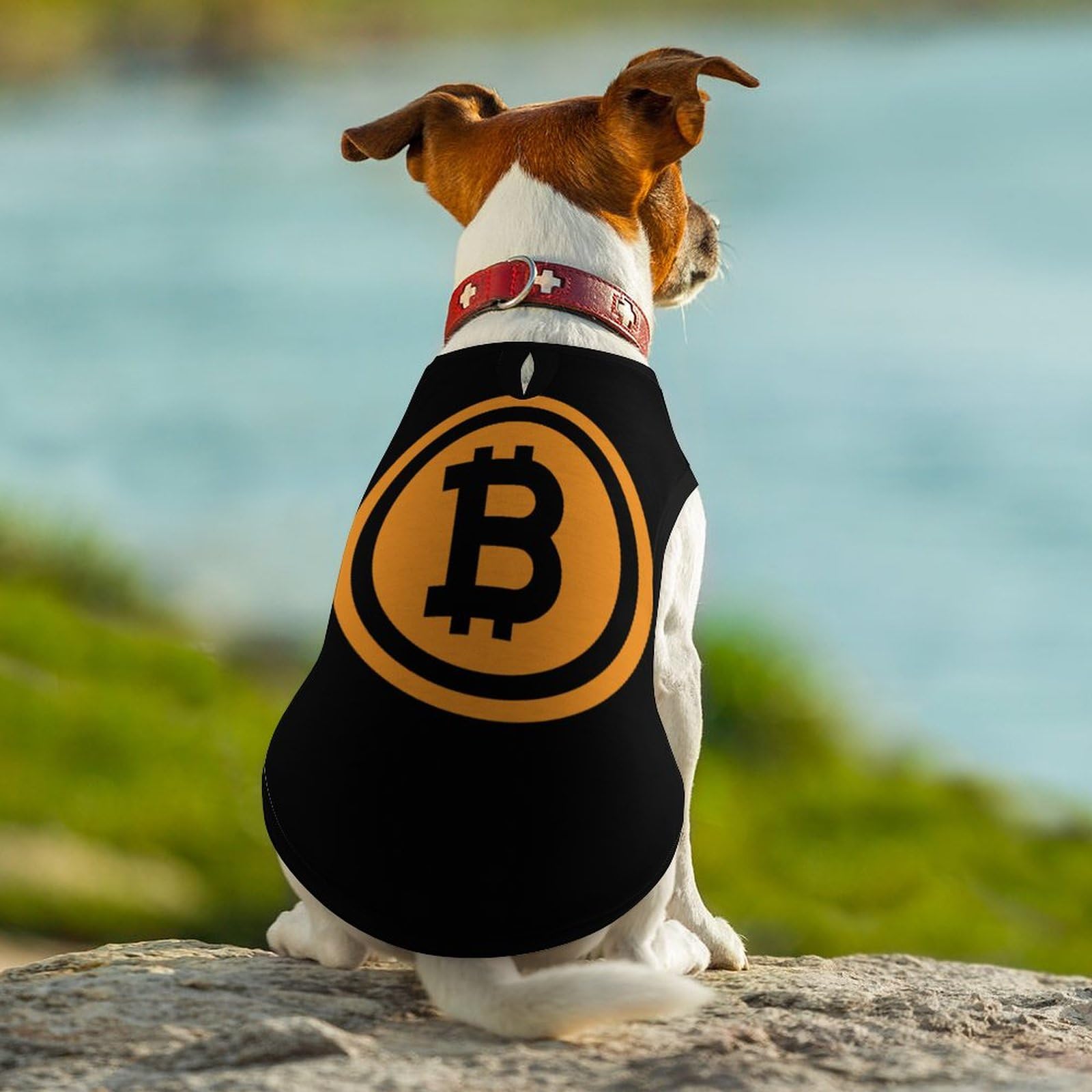 Bitcoin Logo Cute Dog Shirts Pet Clothes Sleeveless Tank Top Breathable  Puppy Sweatshirt : Amazon.co.uk: Pet Supplies