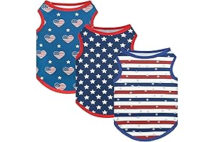 Patriotic Puppy Outfit for a Festive Fourth of July