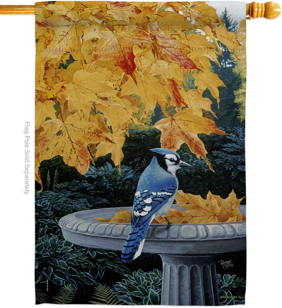 Breeze Decor - Autumn Birdbath Garden Friends - Everyday Birds Impressions Decorative Vertical House Flag 28" x 40" Printed in USA