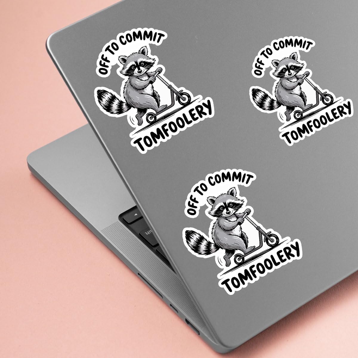 3PCS Raccoon Stickers, Funny Animal Vinyl Decals for Laptop Water Bottle image 5