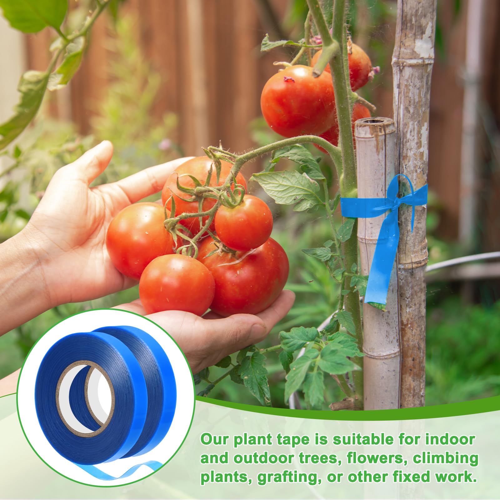View 7