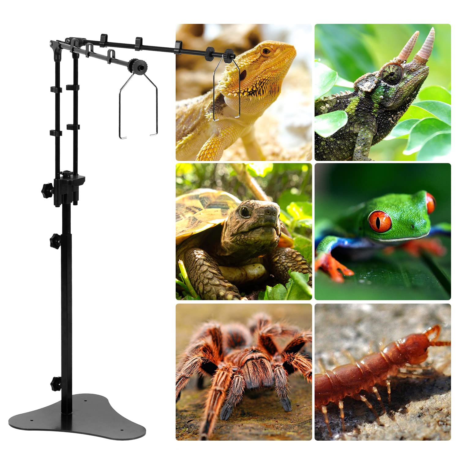 REPTI ZOO Rettile Doppio Supporto Della Lampada Regolabile Supporto Della Lampada Staffa Appesa Supporto Metallo per Rettile Vetro Terrario Riscaldamento Luce Anfibi Gabbia