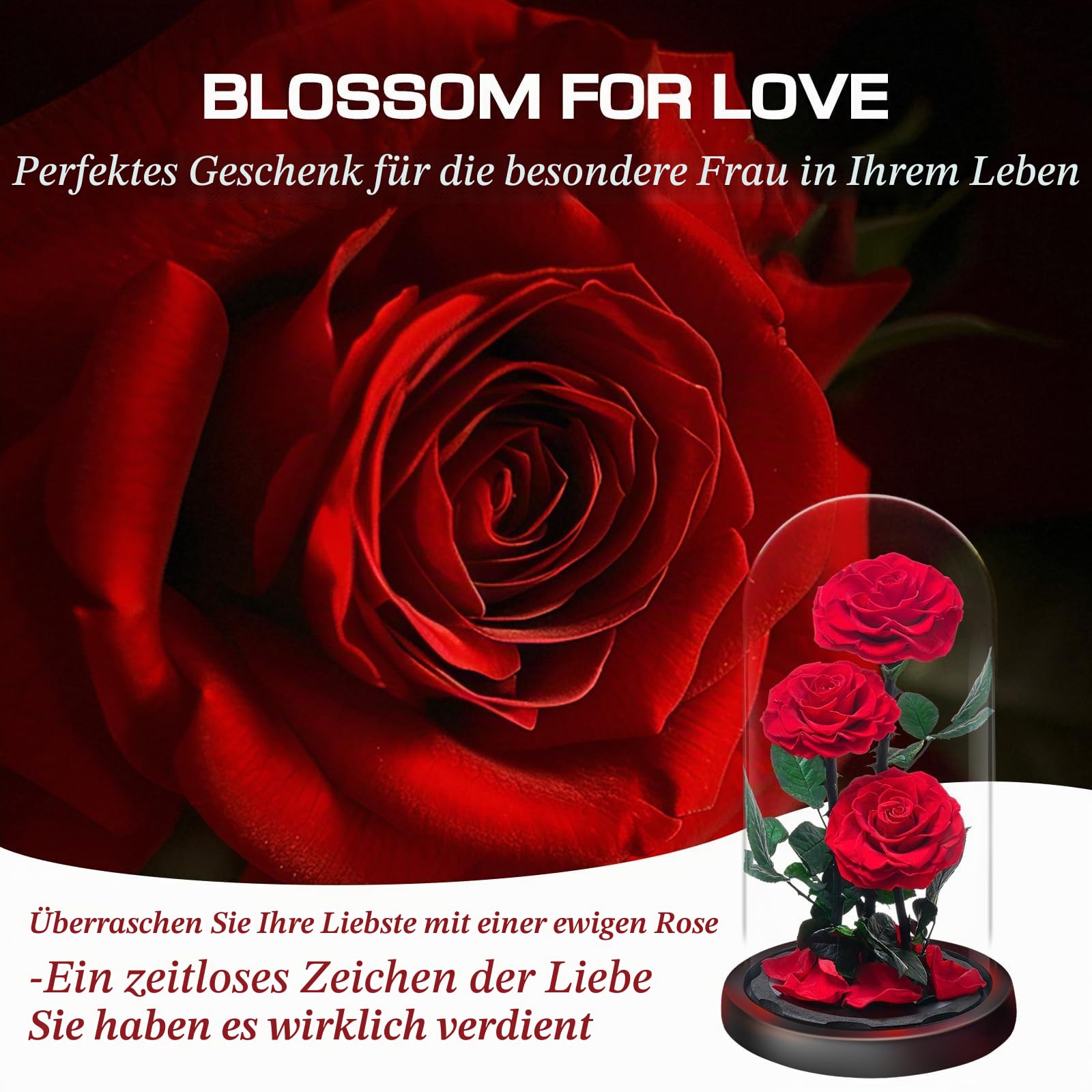 Ewige Rose im Glas, Drei Rote Rosen, Konservierte Echt Blume für 5 Jahre, Infinity Rose, Besondere Geschenk für Frauen, Mama, Freundin, für Sie, zum Valentinstag, Jahrestag, Geburtstag, Muttertagn