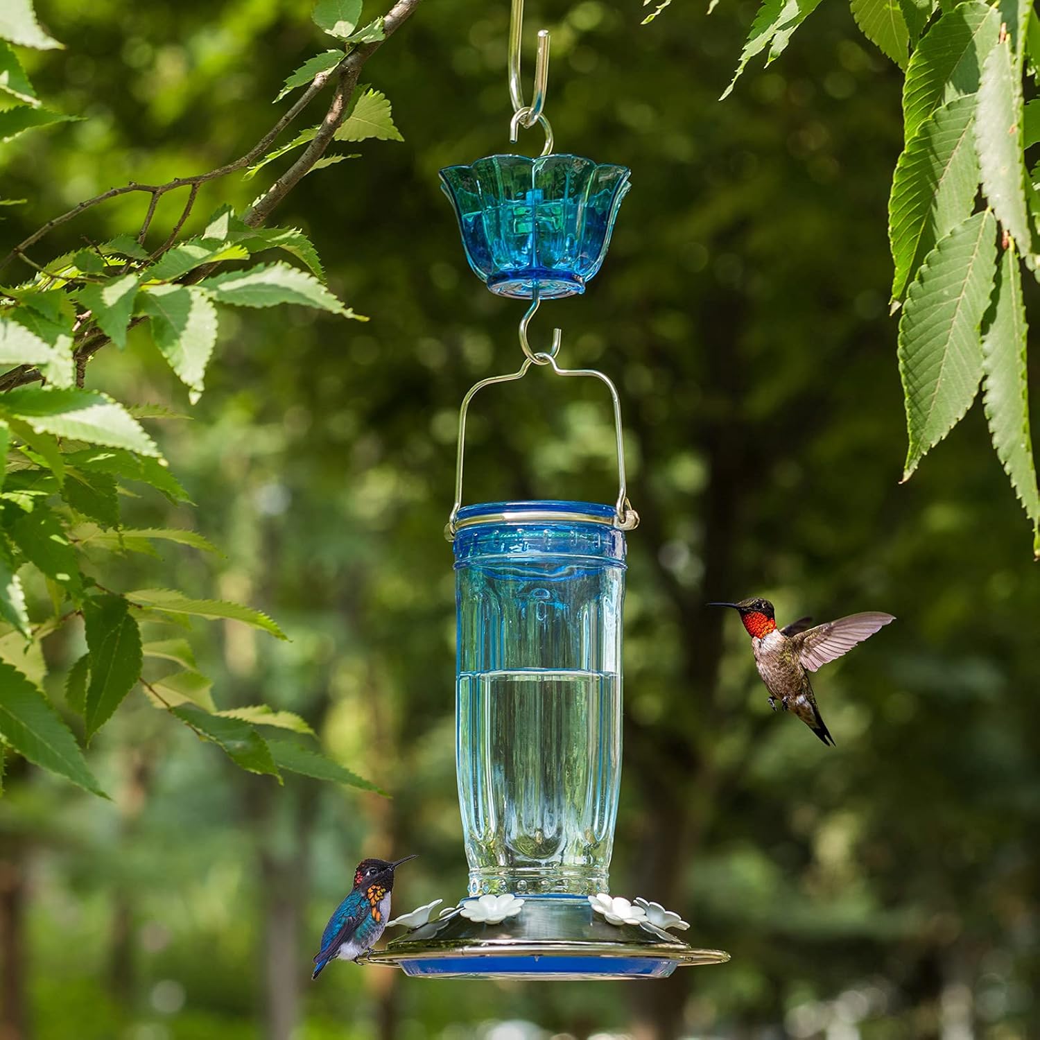 Kingsyard Glass Hummingbird Feeder + Tube Wild Bird Feeder with 6 Feeding Ports
