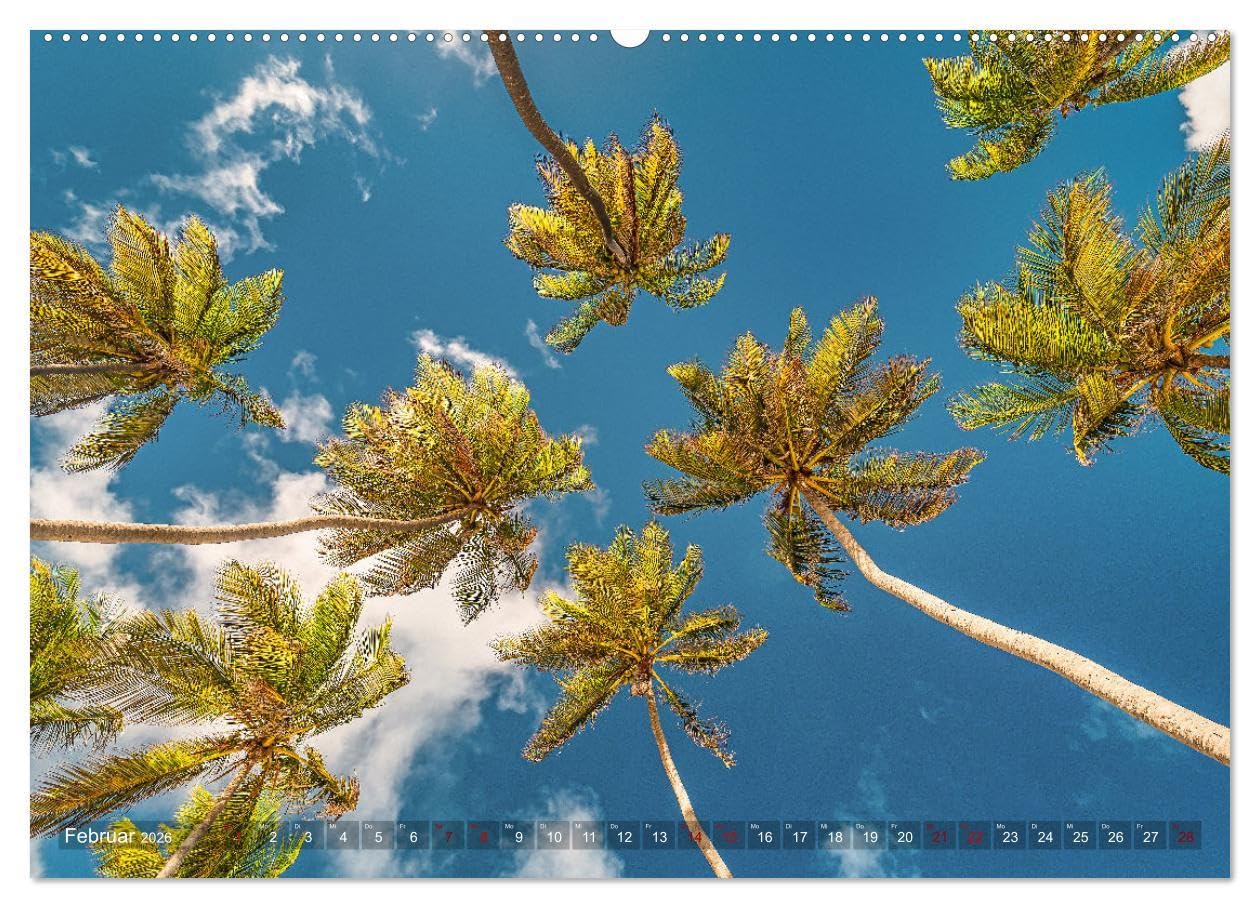 Karibik - Traumstrände (Wandkalender 2026 DIN A2 quer), CALVENDO Monatskalender: Sonne, Meer und karibische Traumstrände (CALVENDO Natur)