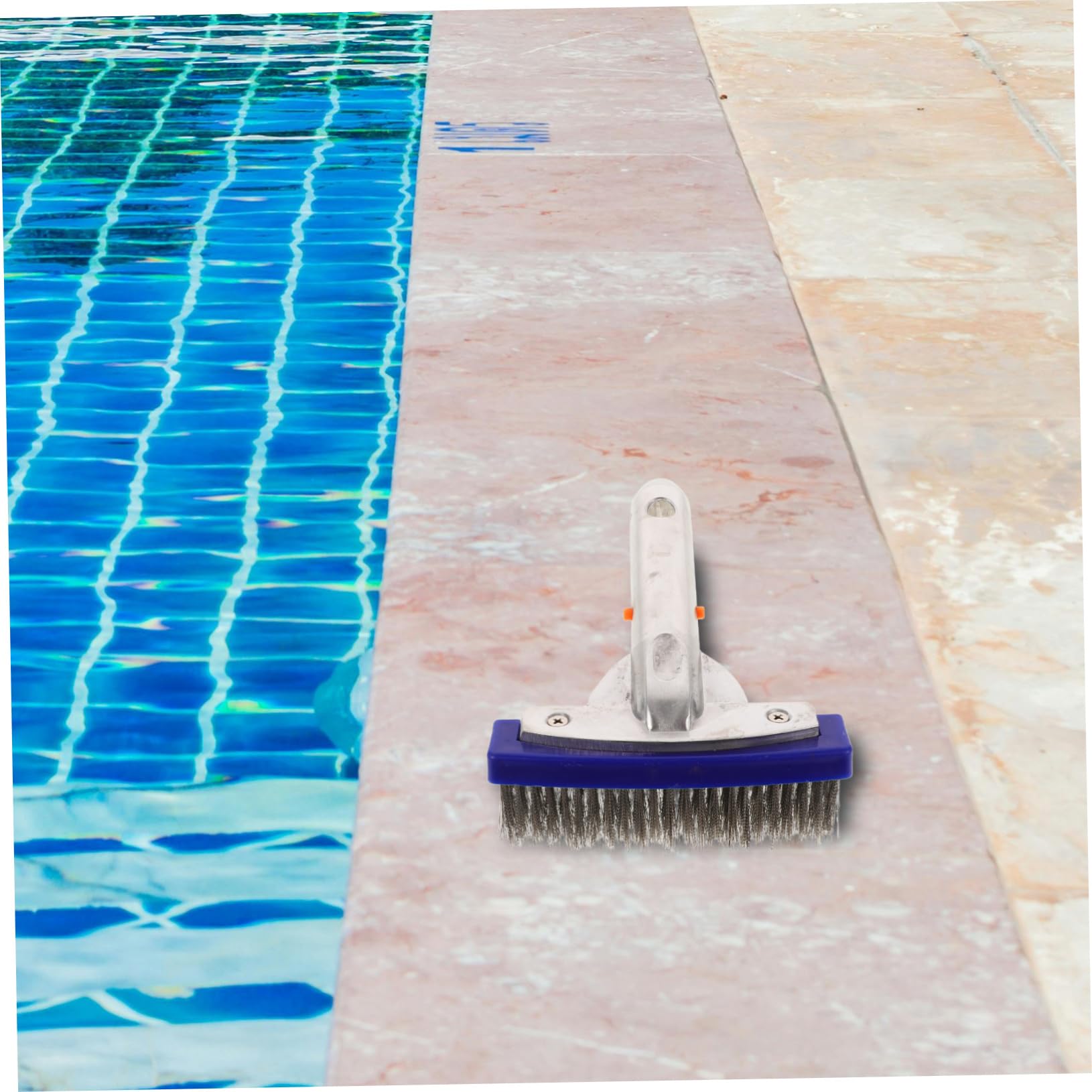 Spazzola Per Piscina Con Manico Setole Acciaio Utensile Robusto Per Pulizia Di Pareti e Fondale Della Piscina Accessorio Indispensabile