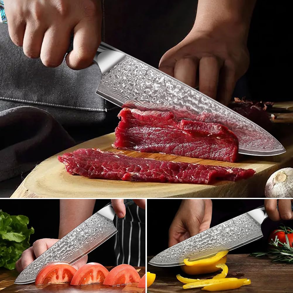 Home Safety Coltello Damasco da Chef con Lama Estremamente Affilata da 20 cm in 67 Strati di Acciaio Damasco VG-10 Coltello da Cucina Damasco da Carne, Manico in Abalone, Confezione Regalo