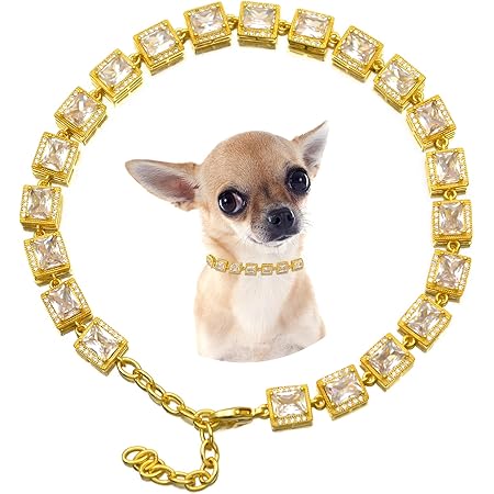 iced out dog collars