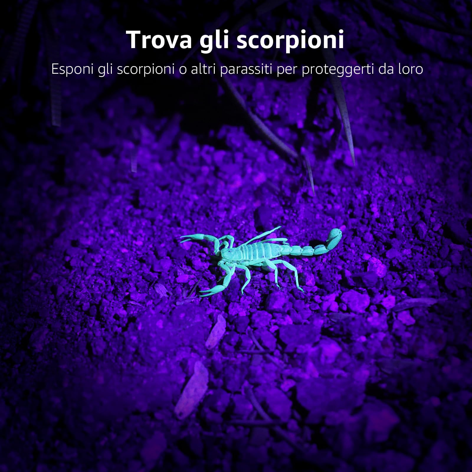 Lepro Lampada UV,51 LEDs Luce UV, Torcia UV LED, 395NM Ultravioletta, Portatile Rilevatore di Black Light per Urina di Cane/Gatto, Scorpione, Banconote,Rileva la Vernice Fluorescente