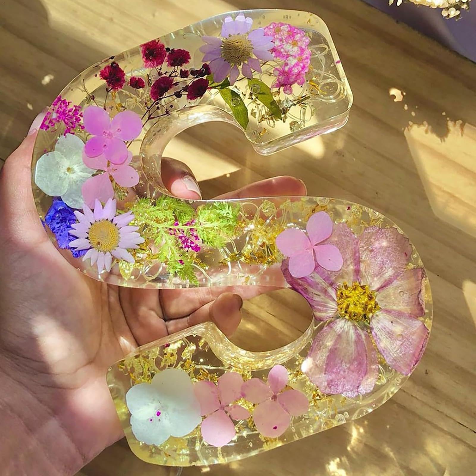 View 5