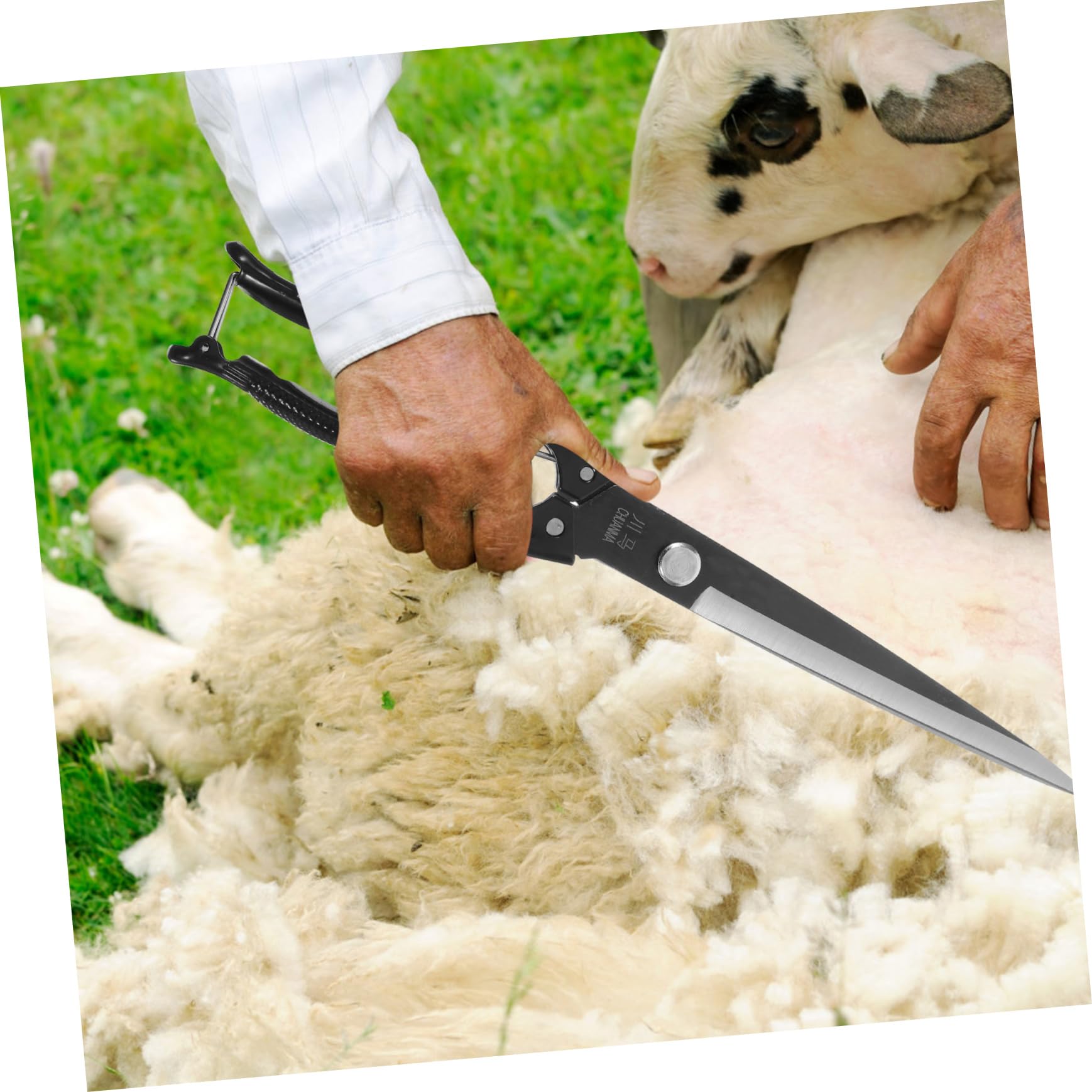 TOYANDONA 1 Set per Tosatura Animali Carbonio Strumento Manuale per Tosare e Bestiame per Operazioni Agricole e Toelettatura Professionale
