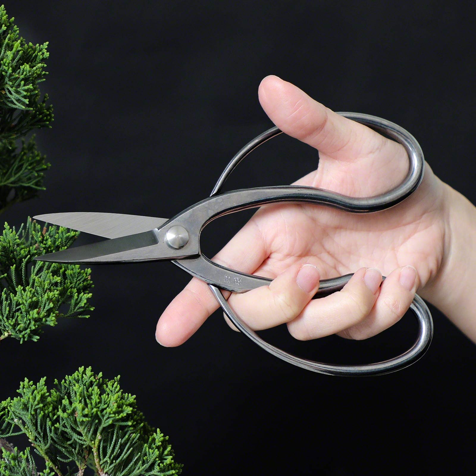 Wazakura Forbici Tradizionali Giapponesi per Bonsai in Acciaio Inossidabile (180 mm) Fatte in Giappone - Forbici da Potatura Hasami per Giardinaggio