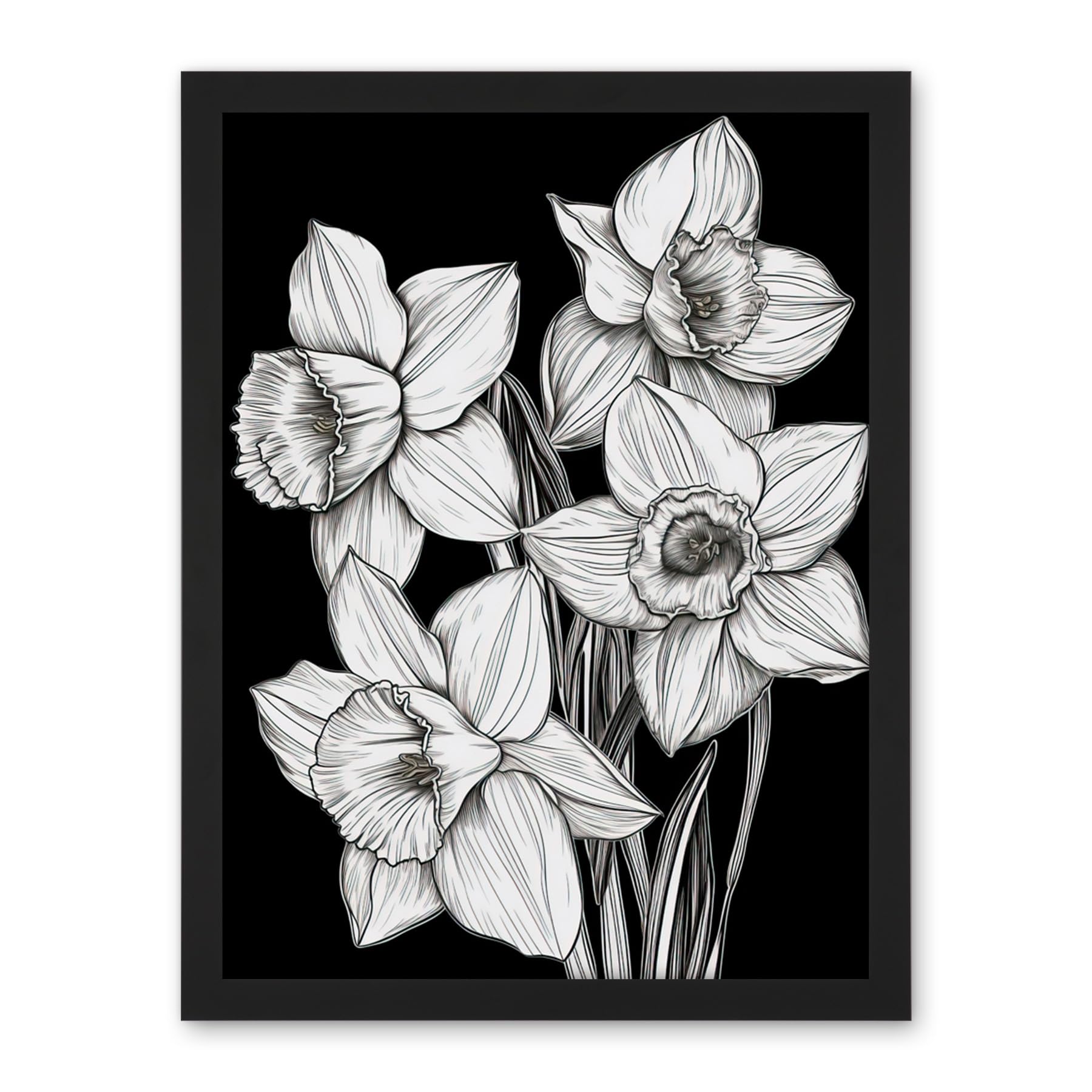 Artery8 Daffodil Wildflower Plant Blooms Black and White Artwork Framed Wall Art Print 18X24 Inch