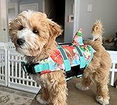 Review Image by Holli Soriano Holli Soriano