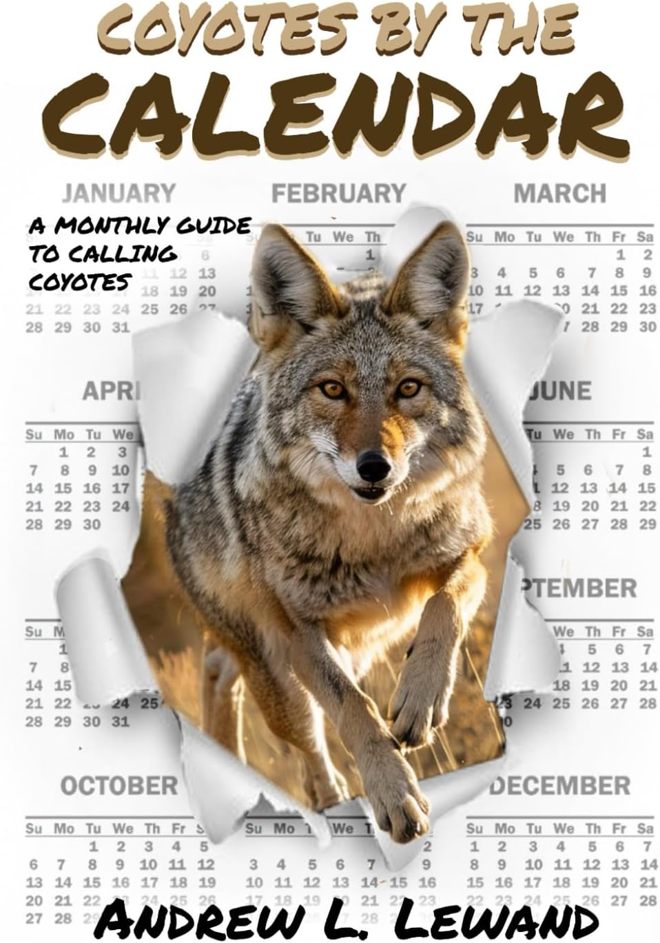 Coyotes by the calendar: A monthly guide to calling coyotes