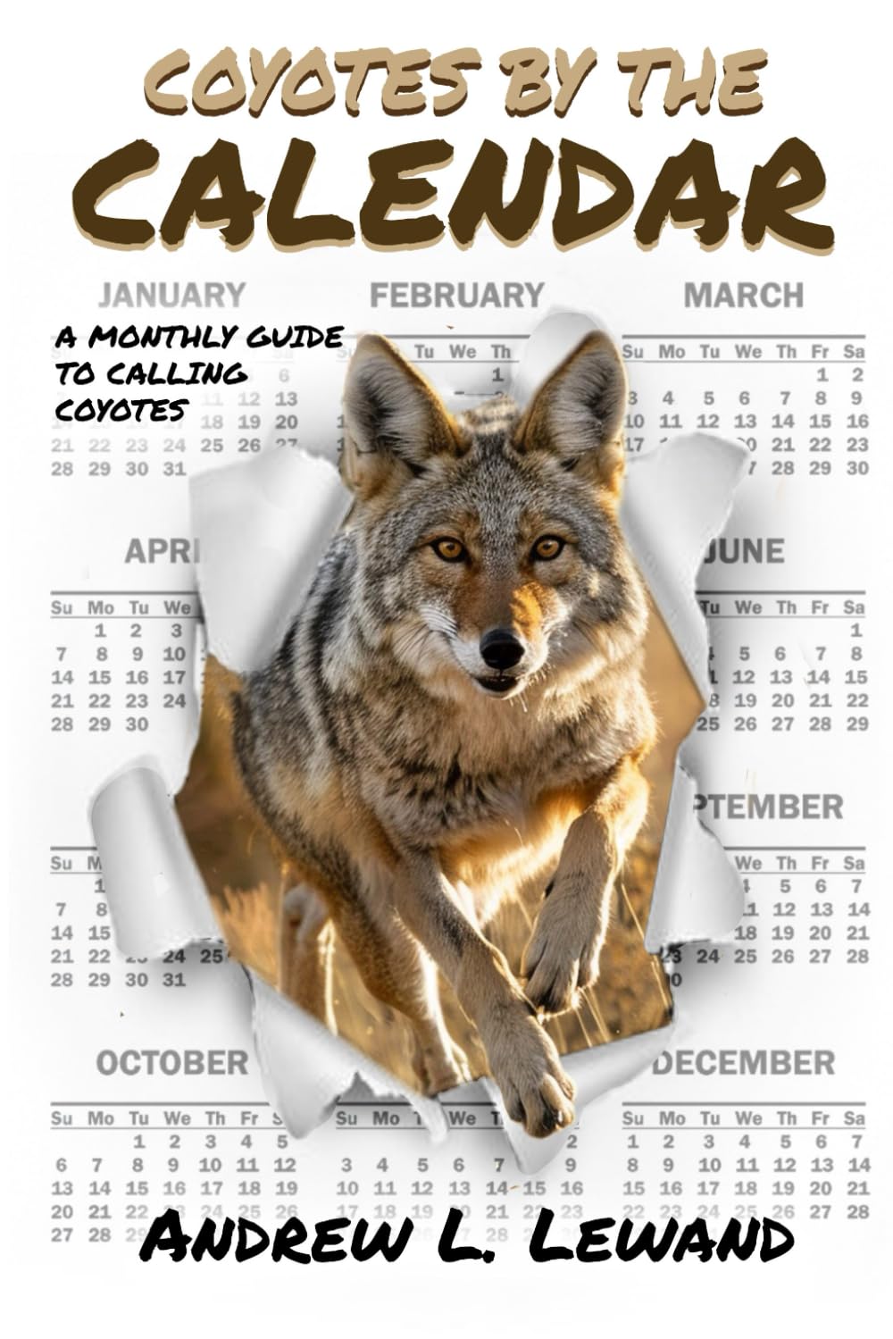 Coyotes by the calendar: A monthly guide to calling coyotes