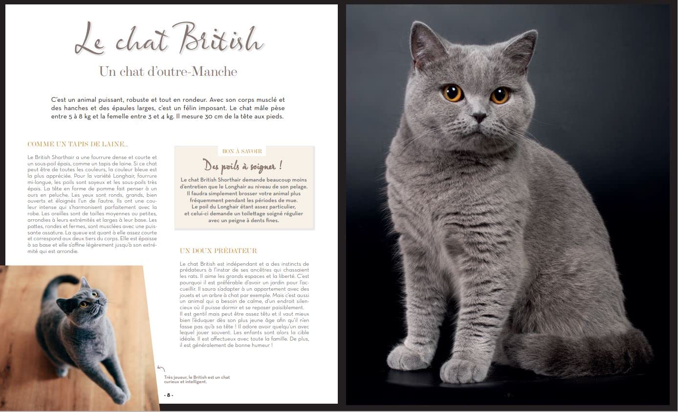 A chacun son chat: Les plus beaux chats de race, de la naissance à l'âge adulte